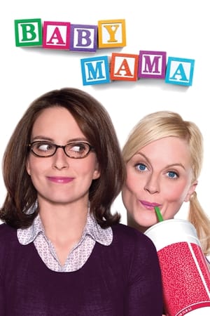 Baby Mama (2008) Hindi Dual Audio [900MB]