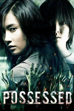 Possessed (2009) Hindi Dual Audio 300MB