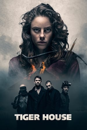 Tiger House (2015) Hindi Dual Audio [1.2GB]