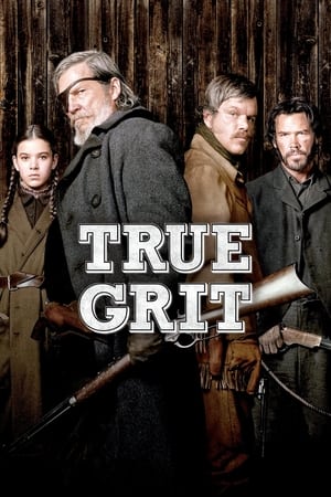 True Grit (2010) Hindi Dual Audio [950MB]